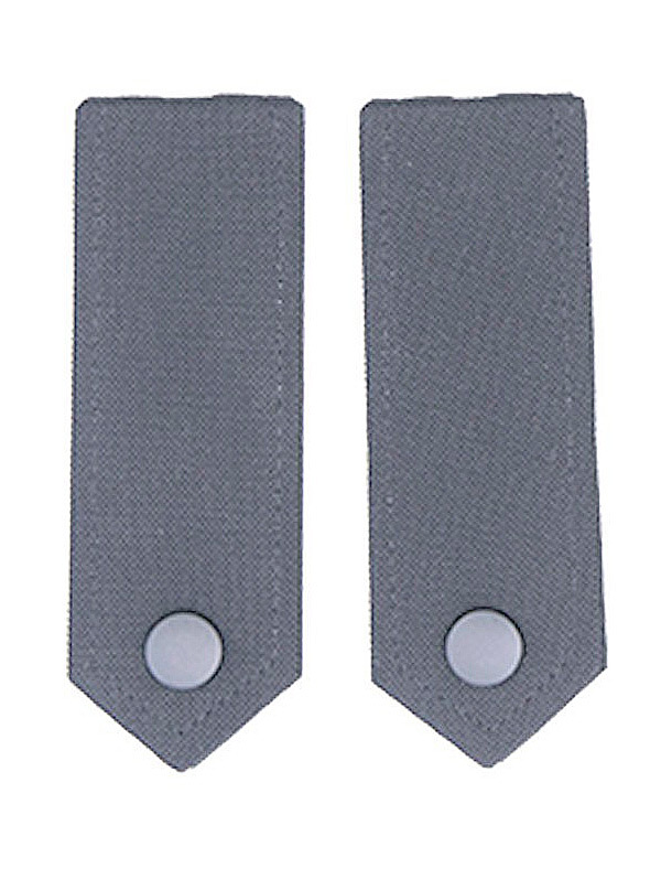 gris.jpg